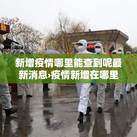新增疫情哪里能查到呢最新消息›疫情新增在哪里看