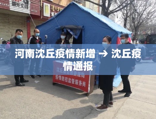 河南沈丘疫情新增 → 沈丘疫情通报