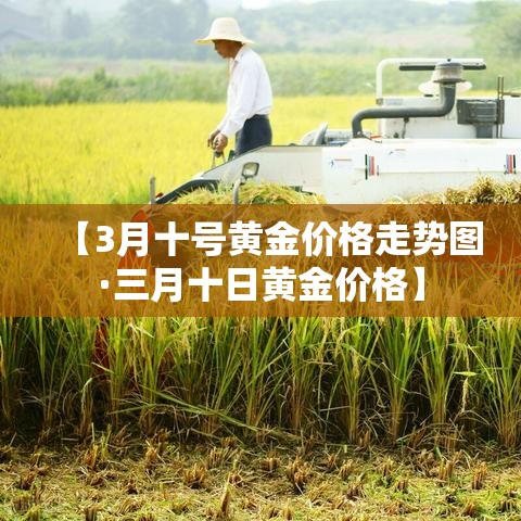给大家讲解“微信牛牛链接版有房卡”链接房卡在哪里获取