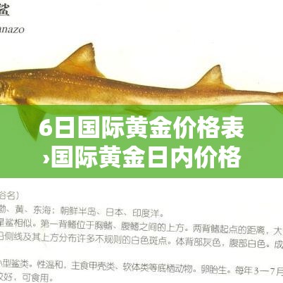 6日国际黄金价格表›国际黄金日内价格
