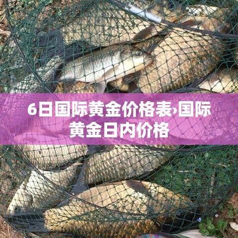 6日国际黄金价格表›国际黄金日内价格