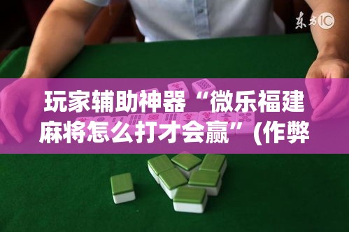 玩家辅助神器“微乐福建麻将怎么打才会赢”(作弊)辅助透视教程