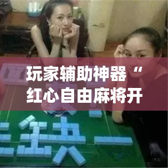 玩家辅助神器“红心自由麻将开挂器”(透视)其实确实有挂