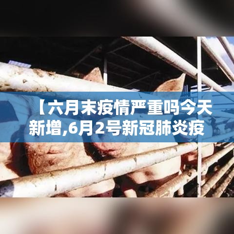 【六月末疫情严重吗今天新增,6月2号新冠肺炎疫情情况】