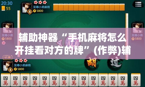 辅助神器“手机麻将怎么开挂看对方的牌	”(作弊)辅助透视教程