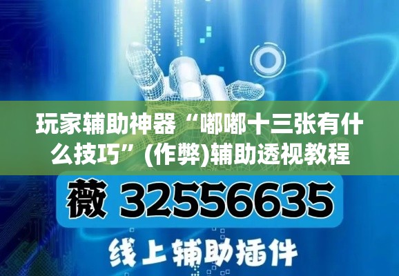 玩家辅助神器“嘟嘟十三张有什么技巧”(作弊)辅助透视教程