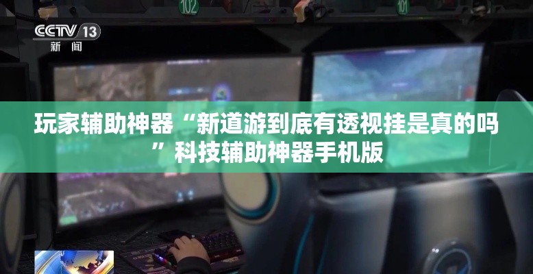 玩家辅助神器“新道游到底有透视挂是真的吗”科技辅助神器手机版