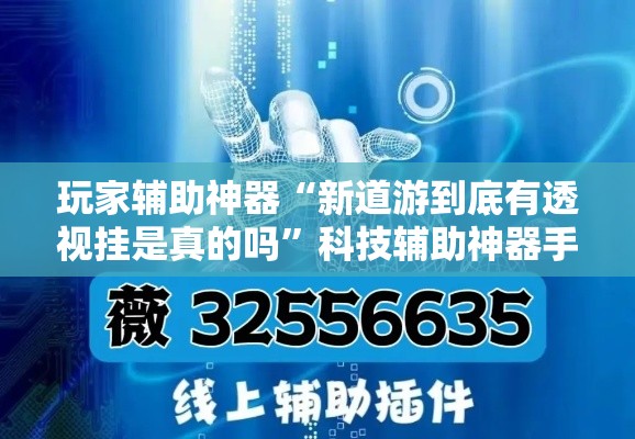 玩家辅助神器“新道游到底有透视挂是真的吗”科技辅助神器手机版