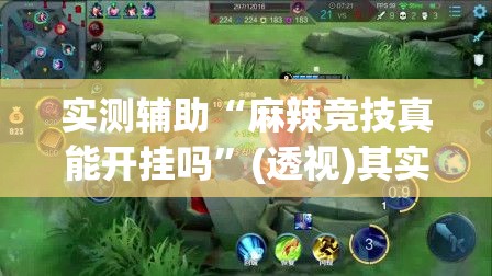 实测辅助“麻辣竞技真能开挂吗”(透视)其实确实有挂