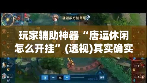 玩家辅助神器“唐逗休闲怎么开挂”(透视)其实确实有挂