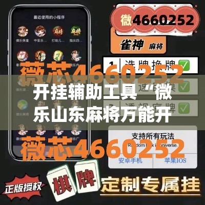 开挂辅助工具“微乐山东麻将万能开挂器	”(作弊)辅助透视教程