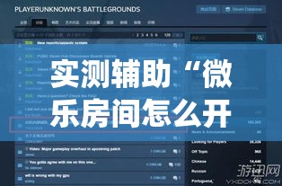 实测辅助“微乐房间怎么开挂视频”专业师傅带你一起了解(确实有挂