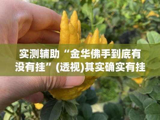 实测辅助“金华佛手到底有没有挂”(透视)其实确实有挂