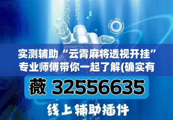 实测辅助“云霄麻将透视开挂”专业师傅带你一起了解(确实有挂