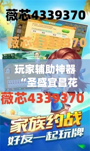 玩家辅助神器“圣盛宜昌花牌透视工具”专业师傅带你一起了解(确实有挂