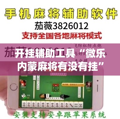 开挂辅助工具“微乐内蒙麻将有没有挂	”(透视)其实确实有挂