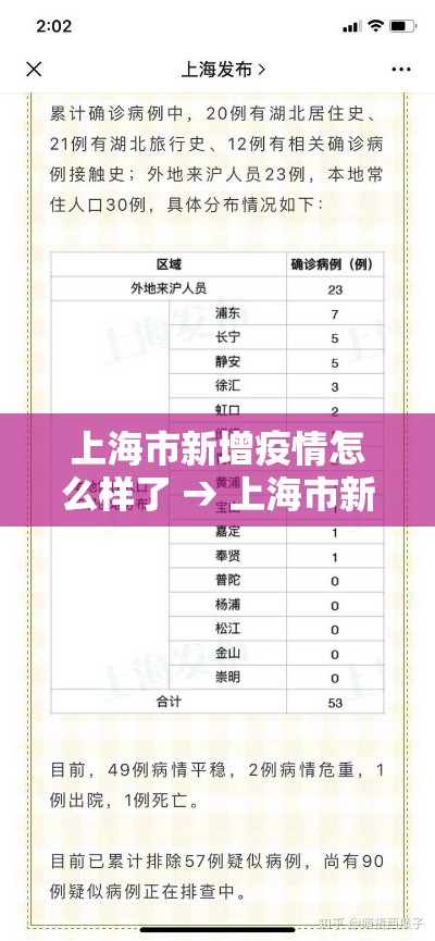 上海市新增疫情怎么样了 → 上海市新增新冠肺炎