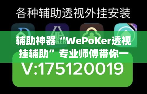 辅助神器“WePoKer透视挂辅助”专业师傅带你一起了解(确实有挂