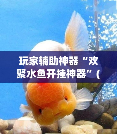 玩家辅助神器“欢聚水鱼开挂神器”(透视)其实确实有挂