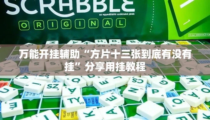 万能开挂辅助“方片十三张到底有没有挂”分享用挂教程