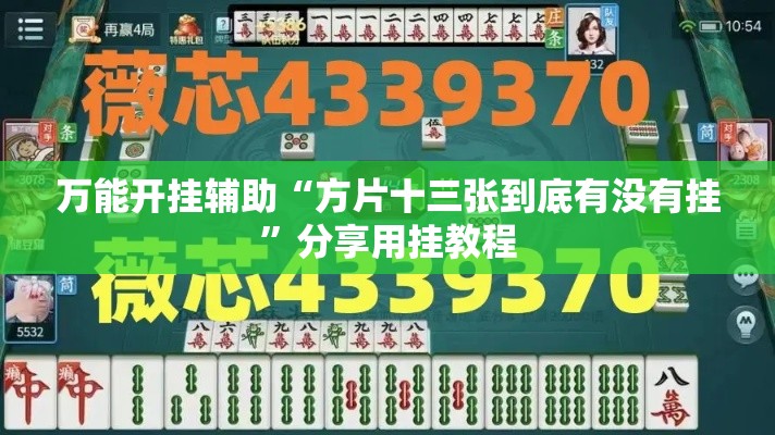 万能开挂辅助“方片十三张到底有没有挂	”分享用挂教程