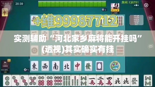 实测辅助“河北家乡麻将能开挂吗”(透视)其实确实有挂
