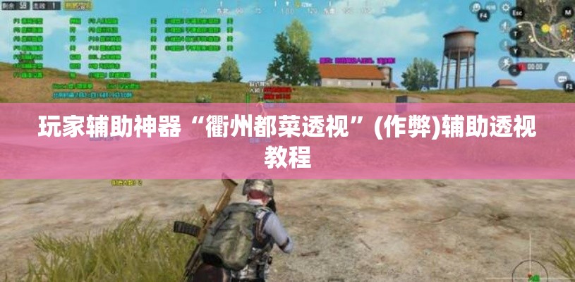 玩家辅助神器“衢州都菜透视	”(作弊)辅助透视教程