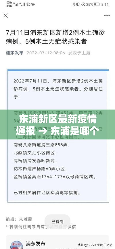 东浦新区最新疫情通报 → 东浦是哪个区 东浦新区最新疫情通报 → 东浦是哪个区