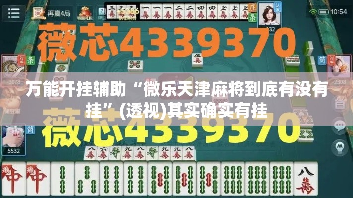 万能开挂辅助“微乐天津麻将到底有没有挂”(透视)其实确实有挂
