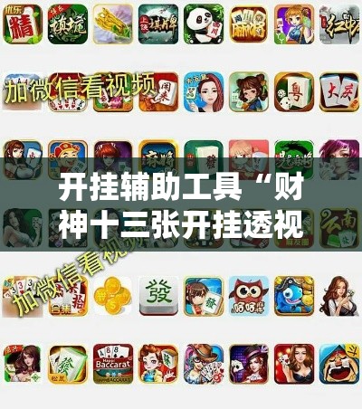 开挂辅助工具“财神十三张开挂透视软件	”科技辅助神器手机版