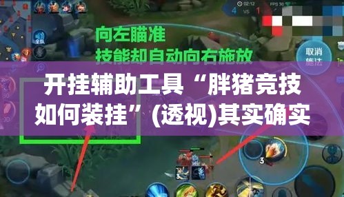 开挂辅助工具“胖猪竞技如何装挂”(透视)其实确实有挂