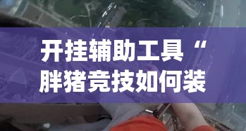 开挂辅助工具“胖猪竞技如何装挂”(透视)其实确实有挂