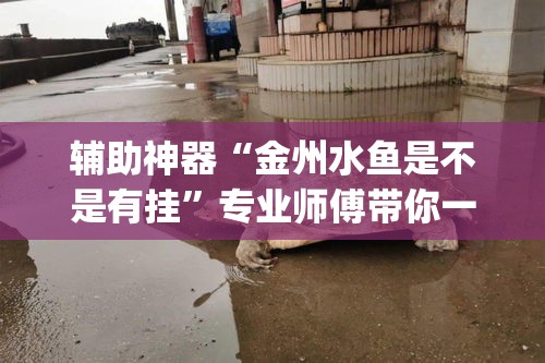 辅助神器“金州水鱼是不是有挂	”专业师傅带你一起了解(确实有挂