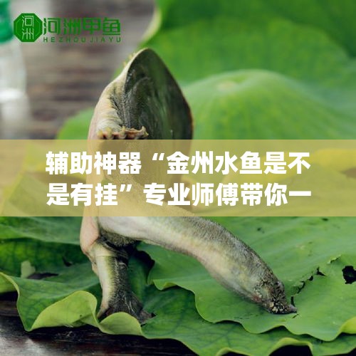 【俄罗斯疫情6月2日新增·俄罗斯🇷🇺疫情】 【俄罗斯疫情6月2日新增·俄罗斯🇷🇺疫情】