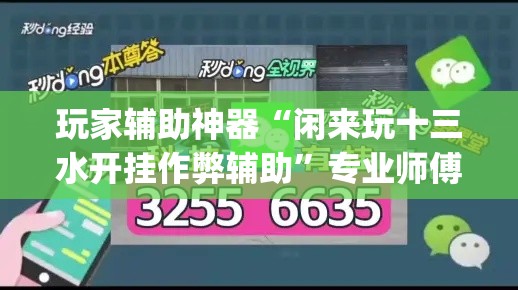玩家辅助神器“闲来玩十三水开挂作弊辅助”专业师傅带你一起了解(确实有挂