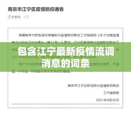 包含江宁最新疫情流调消息的词条 包含江宁最新疫情流调消息的词条
