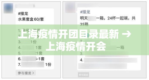 上海疫情开团目录最新 → 上海疫情开会