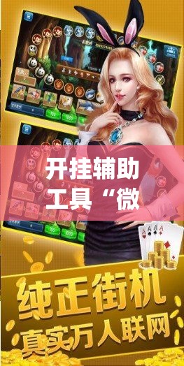 开挂辅助工具“微乐捉鸡麻将有挂吗”专业师傅带你一起了解(确实有挂