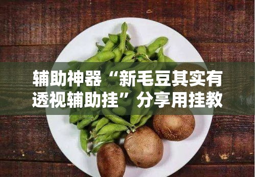 辅助神器“新毛豆其实有透视辅助挂”分享用挂教程