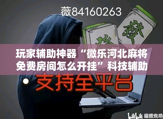 玩家辅助神器“微乐河北麻将免费房间怎么开挂	”科技辅助神器手机版