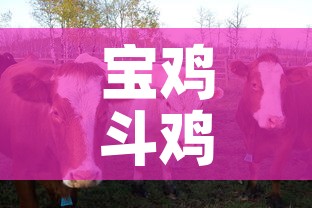 给大家讲解“微信链接炸金花房卡充值购买	”轻松获取房卡全渠道