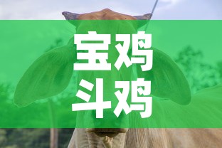 宝鸡斗鸡村最新疫情通报 → 宝鸡市斗鸡酒店 宝鸡斗鸡村最新疫情通报 → 宝鸡市斗鸡酒店