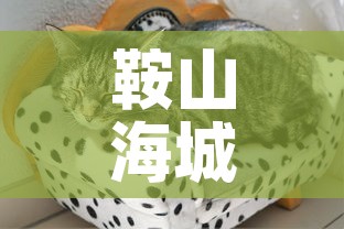 秒懂教程“微信群牛牛房间卡	”获取房卡教程-哔哩哔哩