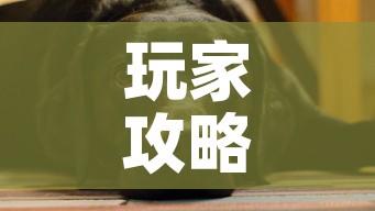 玩家攻略“微信斗牛房卡如何购买	”房卡获取方式