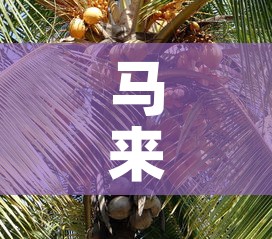 沈阳浑南区疫情通知最新—(沈阳浑南区疫情通知最新情况) 沈阳浑南区疫情通知最新—(沈阳浑南区疫情通知最新情况)
