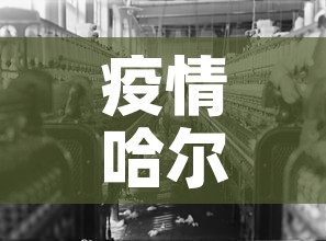 疫情哈尔滨 → 哈尔滨疫倩 疫情哈尔滨 → 哈尔滨疫倩