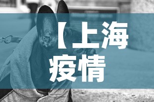 【上海疫情致死事件最新,上海疫情事件脉络】