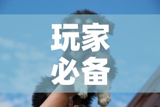 玩家必备教程“斗牛房卡牛牛房卡”详细房卡使用教程