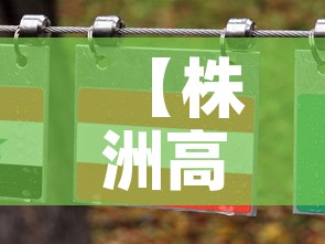 【株洲高硬度硬质合金价格,株洲硬质合金牌号及性能】