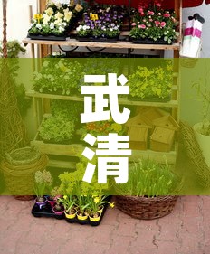 一分钟实测分享“微信牛牛房卡购买渠道”房卡链接获取
